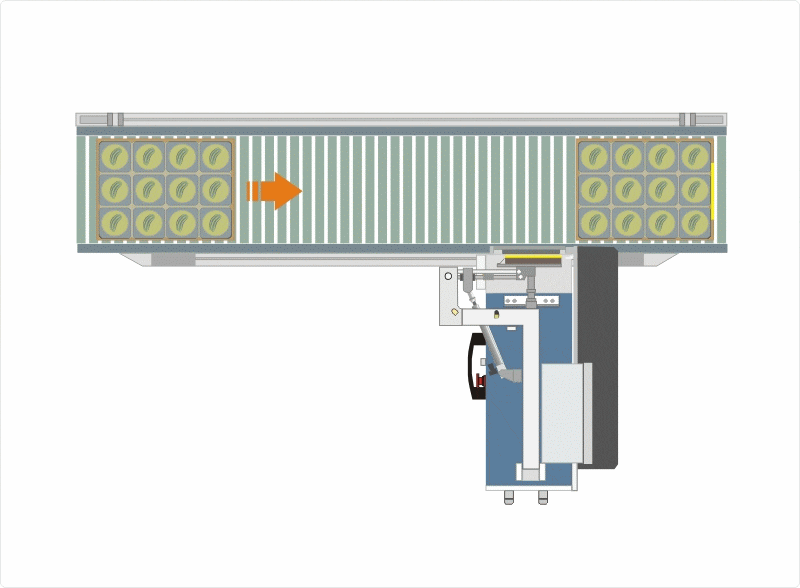 Stampa e Applica applicatore rotor fast